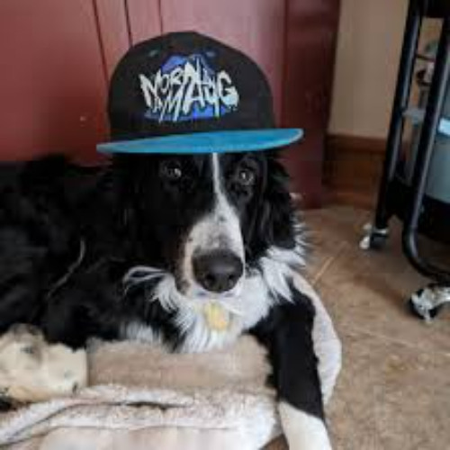 if i belong [deadyami]