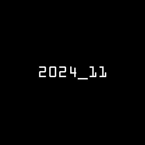 2024_11