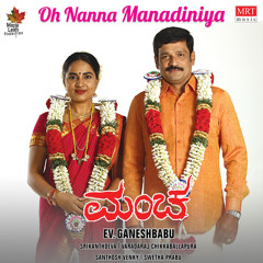 Deguladi Vaasaviro