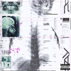 Freestyle Nouveau Départ