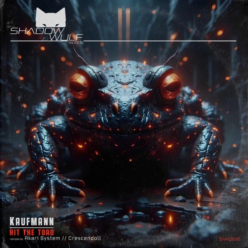 Kaufmann (DE) - Hit The Toad [SW066]