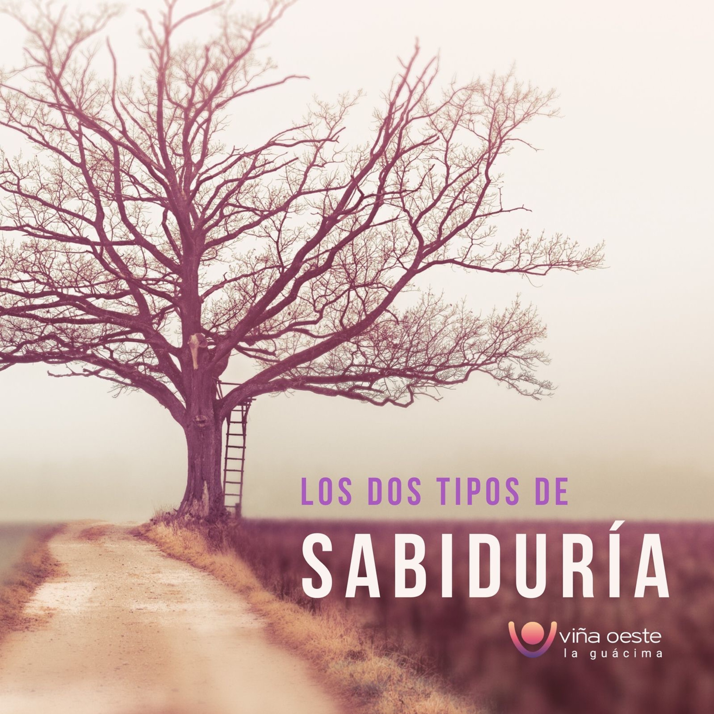18-09-2021 - Charla: Los dos tipos de sabiduría - Ronald Steinvorth episode artwork