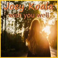 Joey Koala ft I Manic Alice - Wish You Well