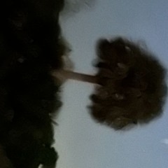 get em high