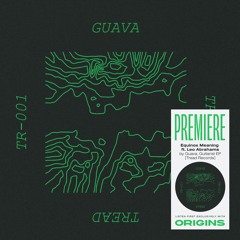 OS Premiere: Guava - Equinox Meaning ft. Leo Abrahams [Tread Records]