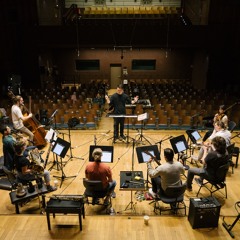 "Álbum Vivo De Excentricidades" for ensemble (2024)
