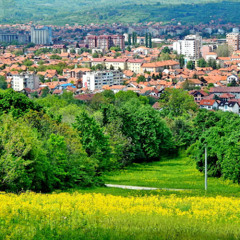 KRALJEVICA SUMA LOST MY MIND