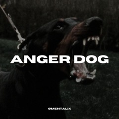 DOSTROIC - ANGER DOG