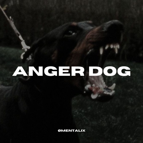 DOSTROIC - ANGER DOG