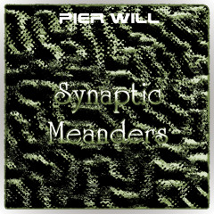 🎹🎼Synaptic Meanders🎼🎹