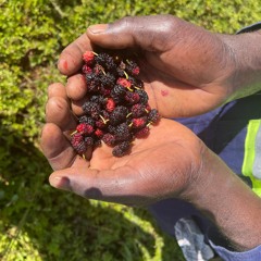 Treat Nature with Kindness