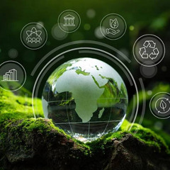 Sustainability Training Certification