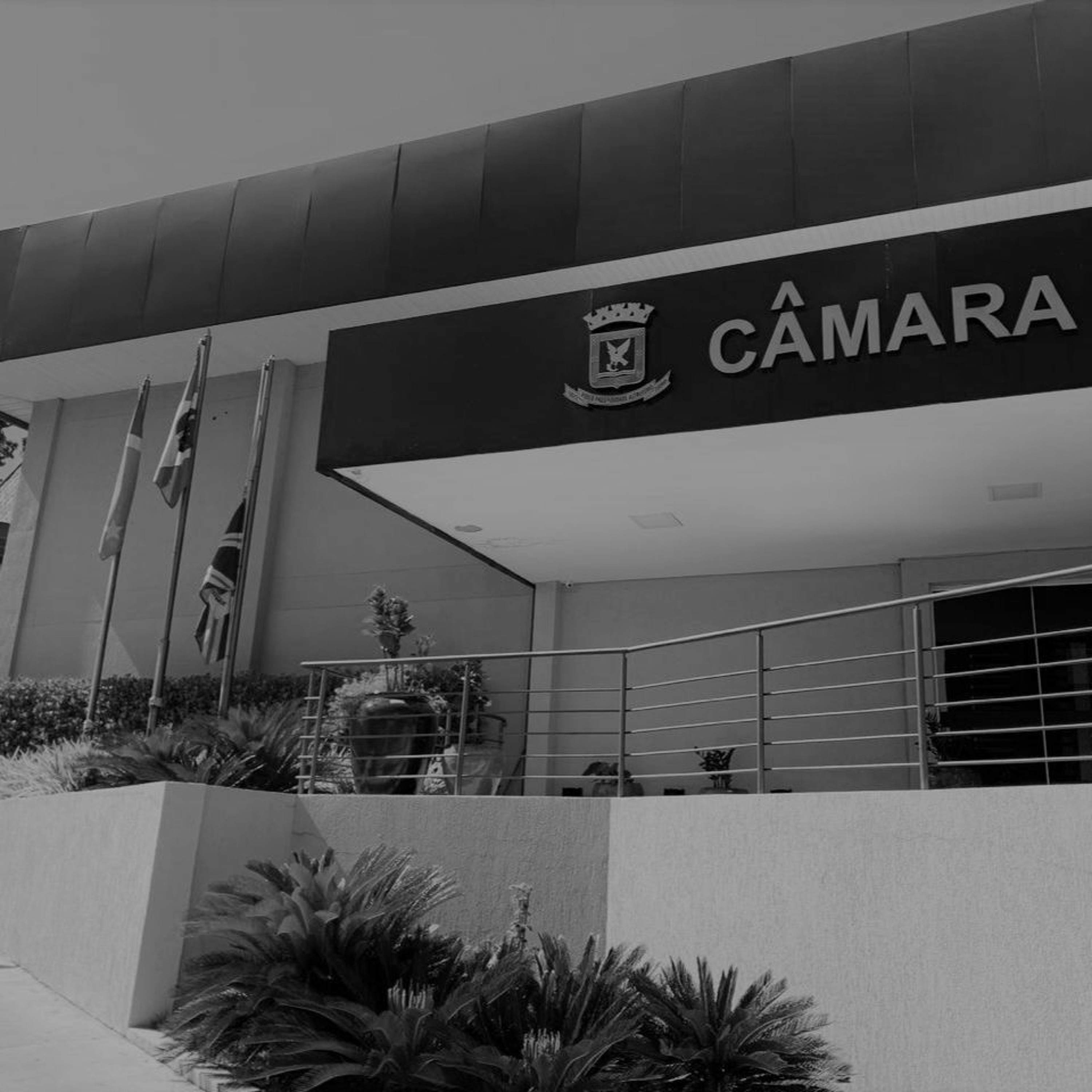Câmara cancela sessão em respeito ao falecimento de familiares de vereadores episode artwork