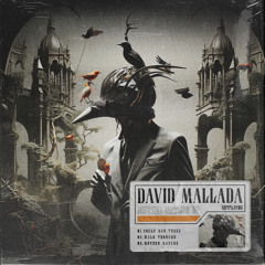 David Mallada - Mother Nature (Master)