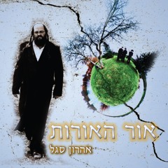 אור האורות (רמיקס)