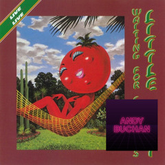 Little Feat - Spanish Moon (Andy Buchan Edit)