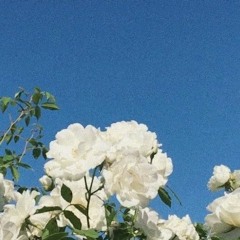 Dĩ Vãng Nhạt Nhoà (Lofi)