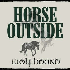 Horse Outside