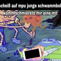 Schachter [190er]