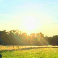 Melotronic Dreams 1