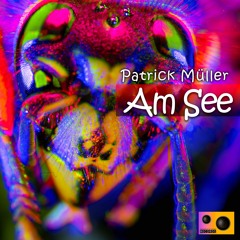 Patrick Müller - Am See (E.D.D.B Remix)