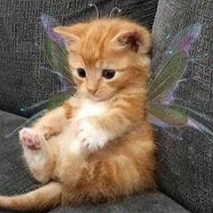 no one else but you (prod.peril)