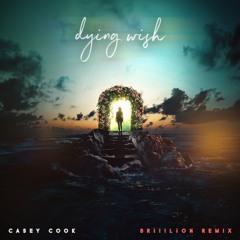 Casey Cook - Dying Wish(BrillLion Remix)