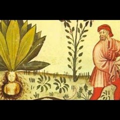 Astro Jose - Seven Sleepers (Demo)