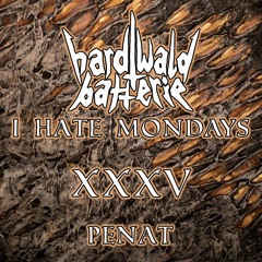 I Hate Mondays XXXV | Penat | 125-130 bpm Techno