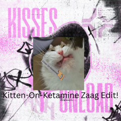 Unload - Kisses - Kitten On Ketamine ZaagEdit