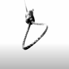 Никого нет дома - Выбери её