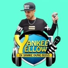 Dj Yankee Yellow Early Warm (No De Pon Mi Level)