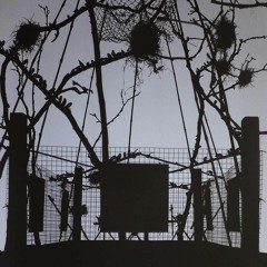 Ghost (A cappella)[Aeon (Vert(-ane)) Edit]