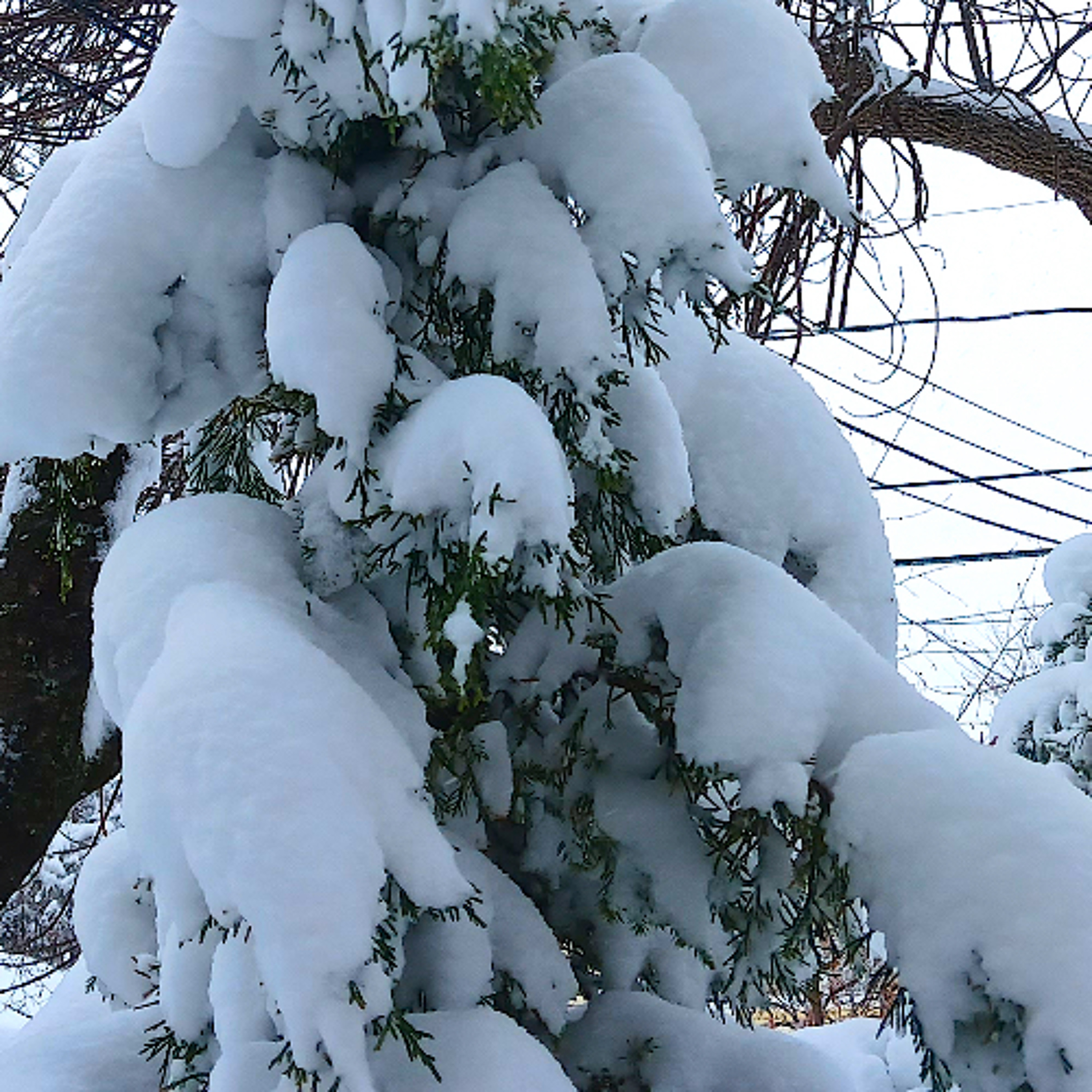 Forecast from Monday, 3-16-26