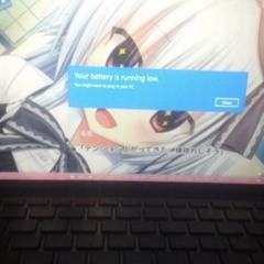 #VX4U +Aster+la9+ibis