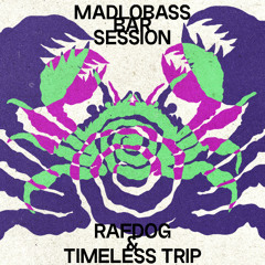 RafDog - MADLOBASS BAR SESSION (5327@Tbilisi 18.07.2025)