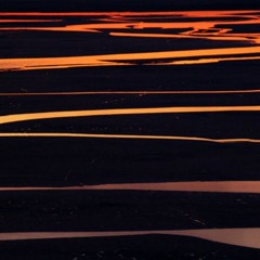 2025-07-29