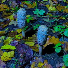 777 Miły ATZ peggy gou (it goes like) nanana