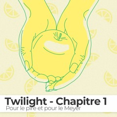 HORS-SERIE #4 - chapitre 1 : Twilight, pour le pire et pour le Meyer