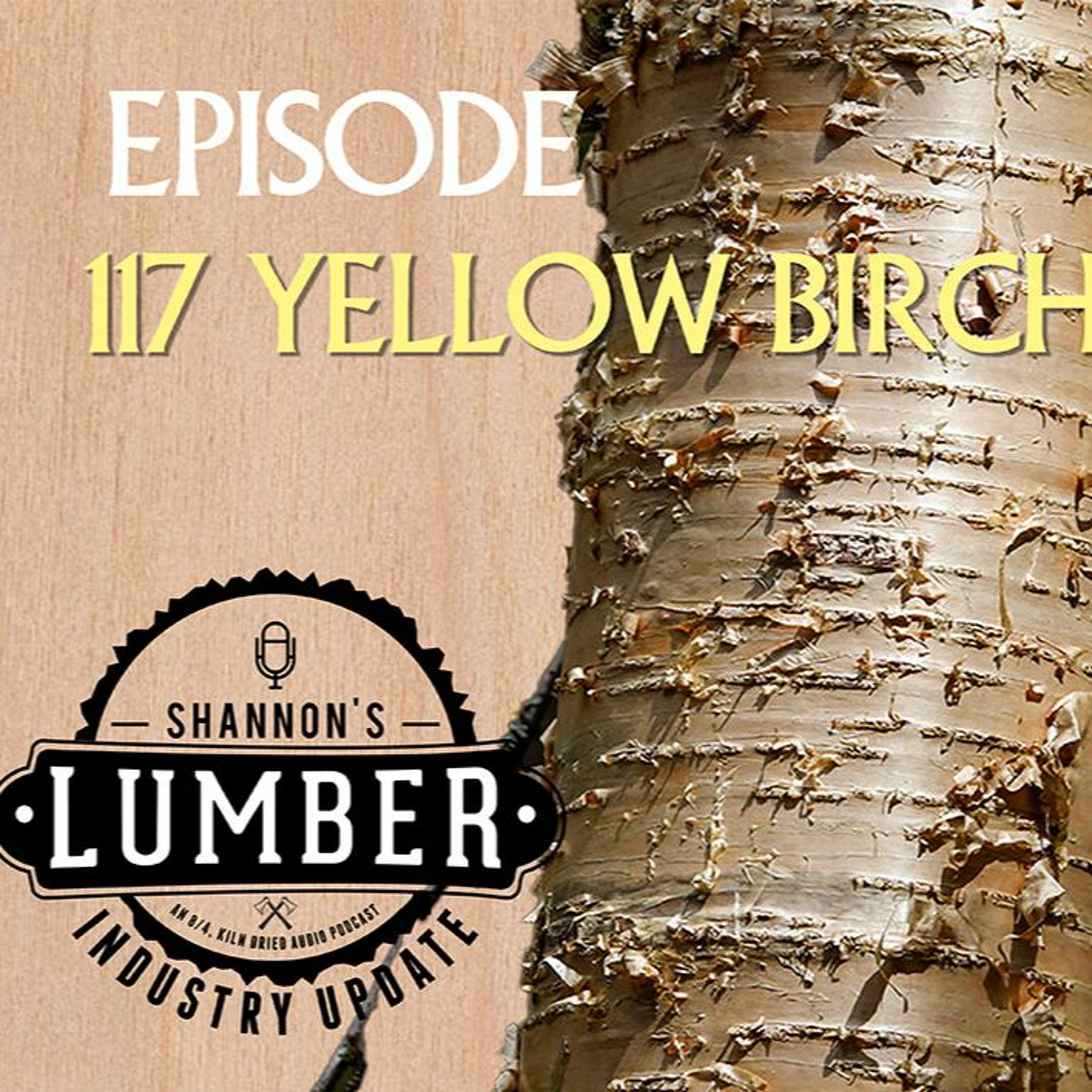 117 - Yellow Birch
