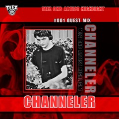 001 TEEZ DNB GUEST MIX - CHANNELER