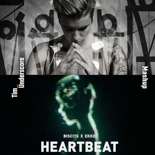 What Do You Mean x Heartbeat - Justin Bieber x Biscits, Ekko (Tim Underscore Mashup)