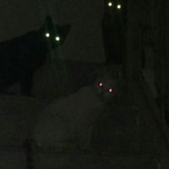 Strange