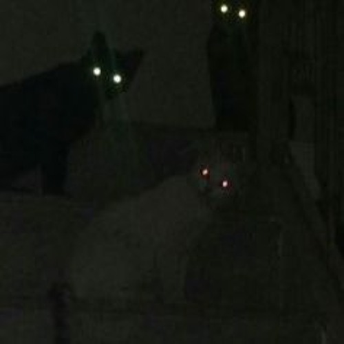 Strange
