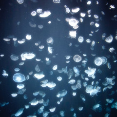 floating (version2)