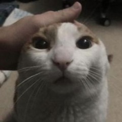 free my mind righttttttttttttttttt