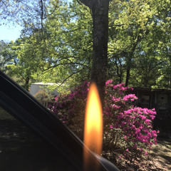 soryn-letmetakeyouhome(chvncethealchemist flip)