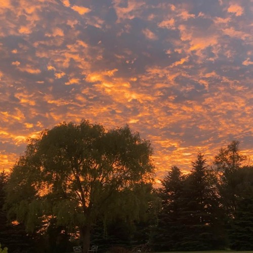 It's all over(Prod, TyDavid)