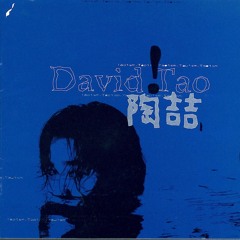 Discovering David Tao