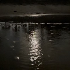 Oceania